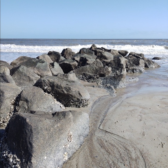 Meet your Posher, Jessica - Picture 6 of 6